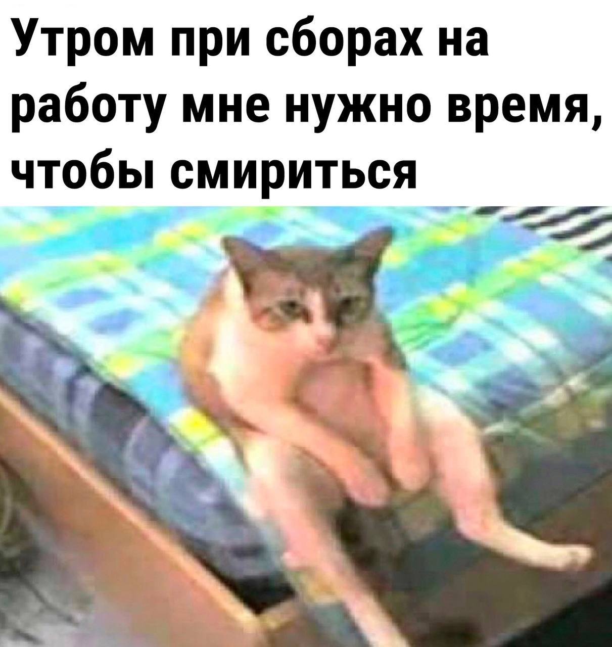 С работы домой приколы
