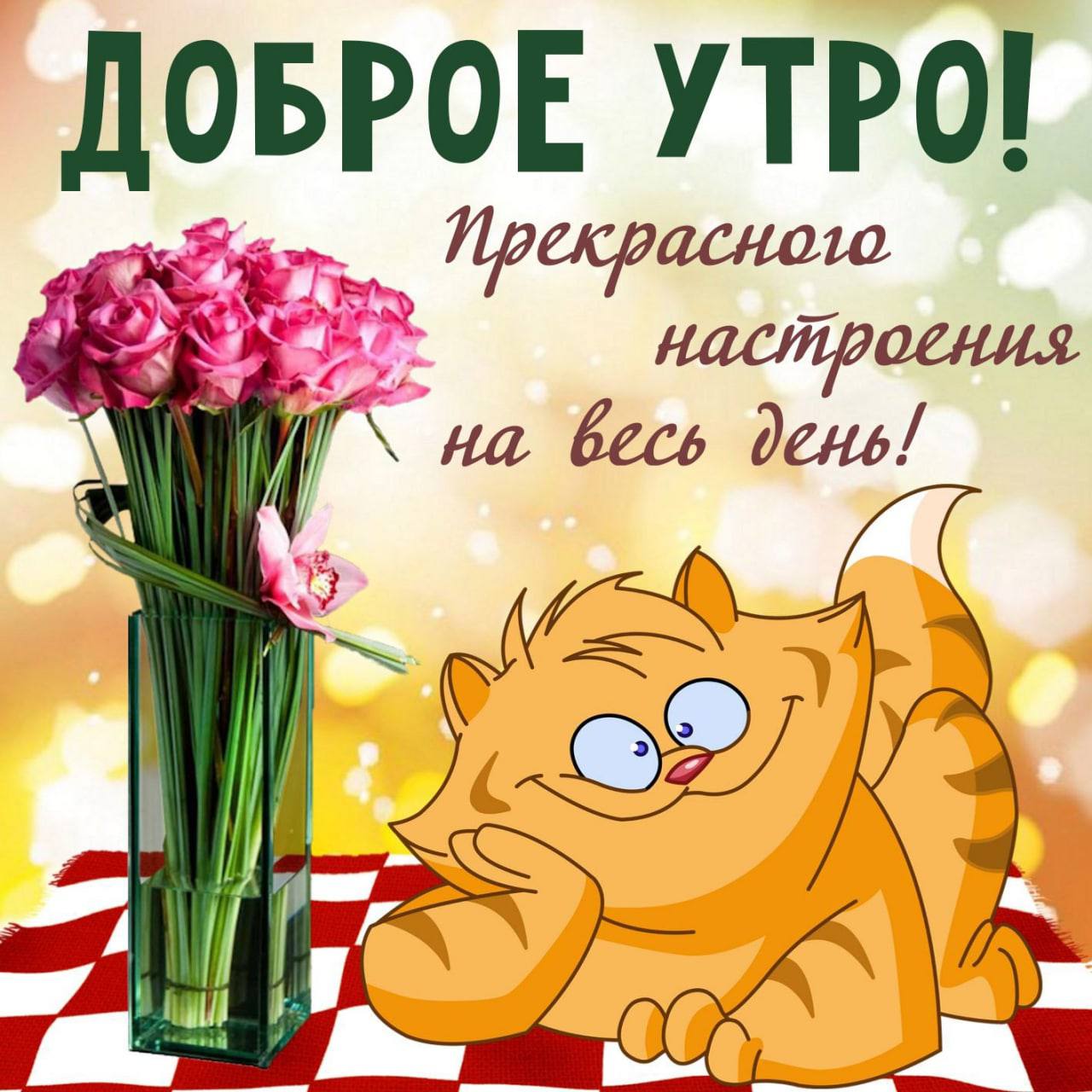 Добрый день прикольные картинки с надписями