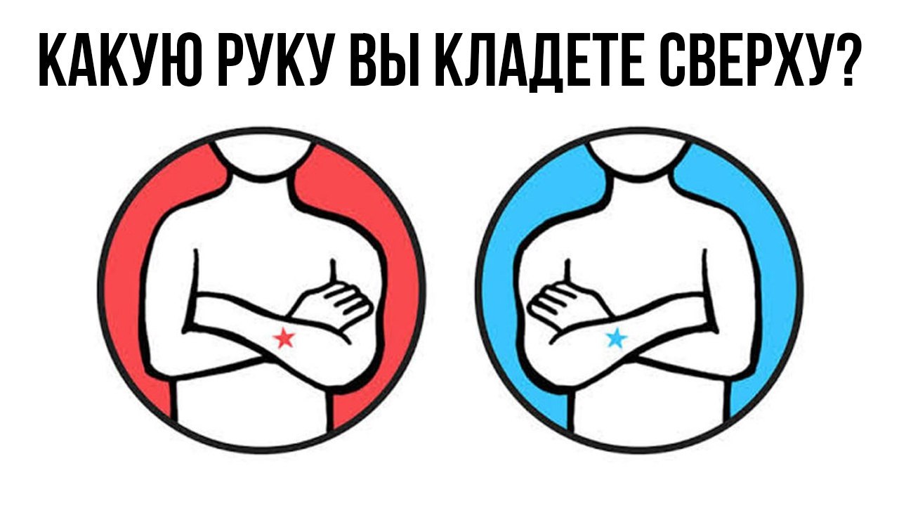 Скрещивать на английском Скрещивать на английском