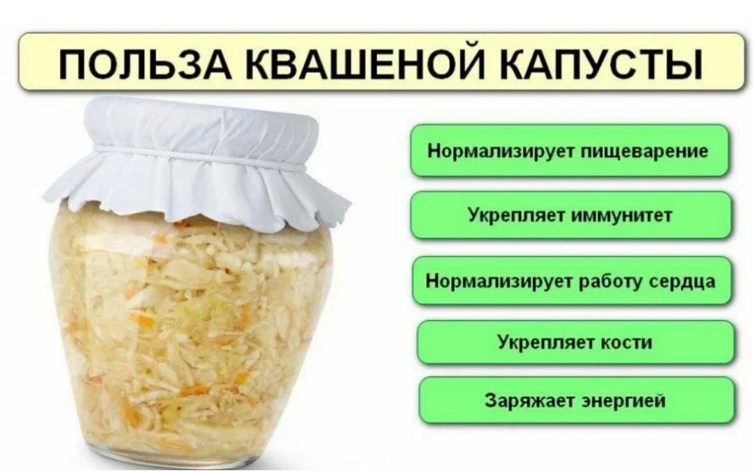 Можно ли отравиться квашеной капустой. Чем полезна квашеная капуста. Капуста квашеная. Полезна ли квашеная капуста. Чем полезна квашеная капуста для организма.