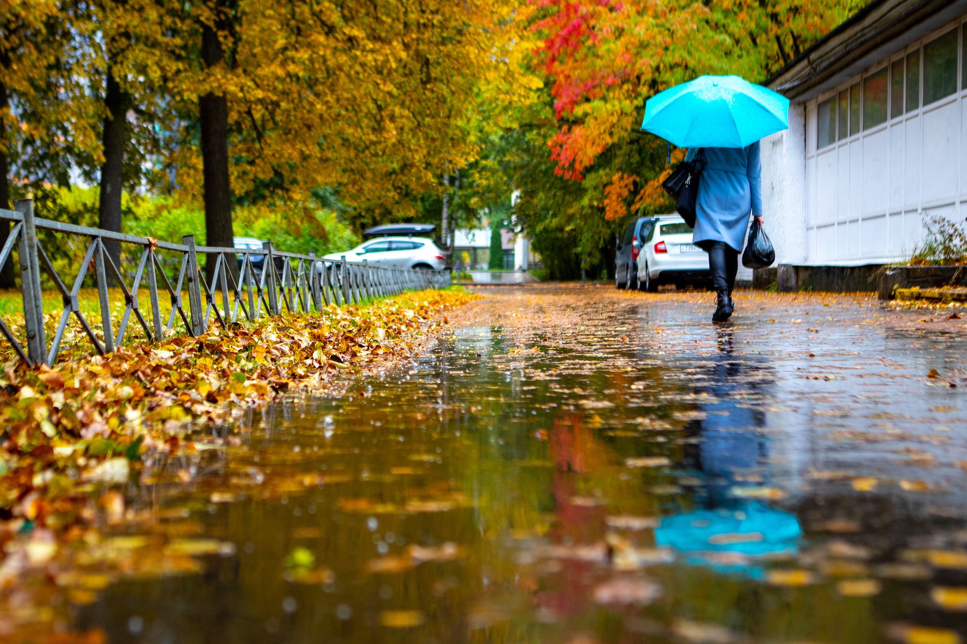 Что такое умеренный дождь. Октябрь дождь. Небольшой дождь. Ноябрь дождь. Дождливая погода.