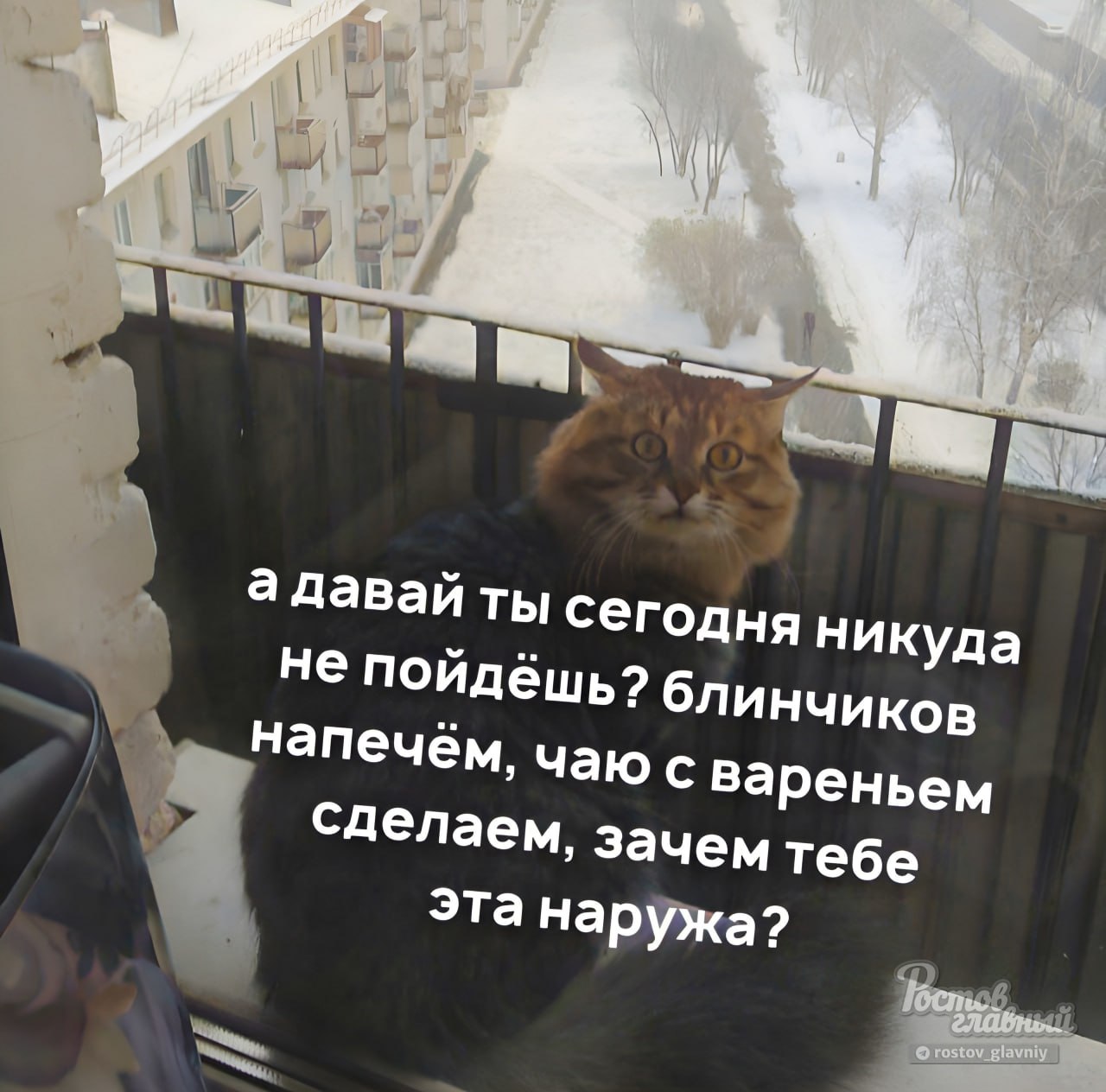 Зачем ты зашел на мою страницу ответь себе. А давайте, никуда сегодня не пойдем. Мемы почему. Во флирте главное. Ты зачем меня не замечаешь.
