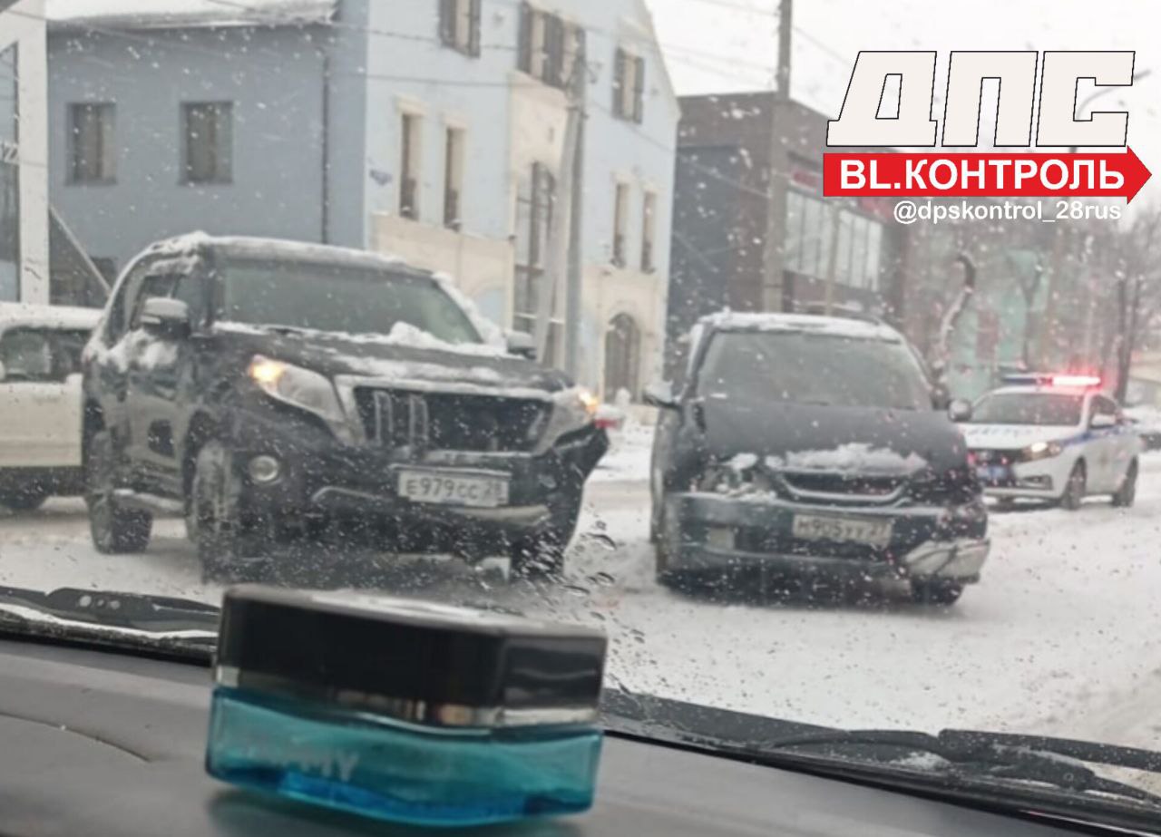 Dpskontrol 28 rus