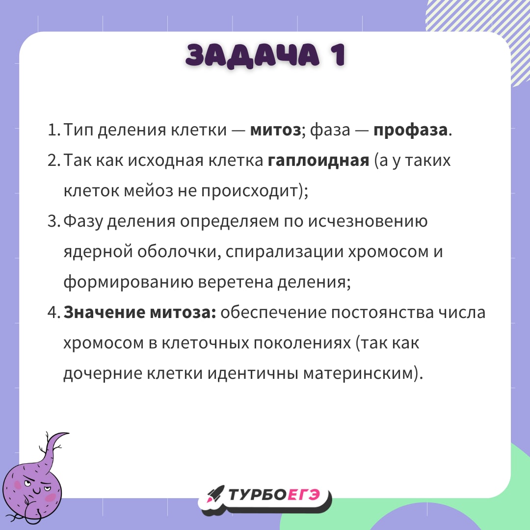 Подготовка к егэ по русскому телеграмм фото 27