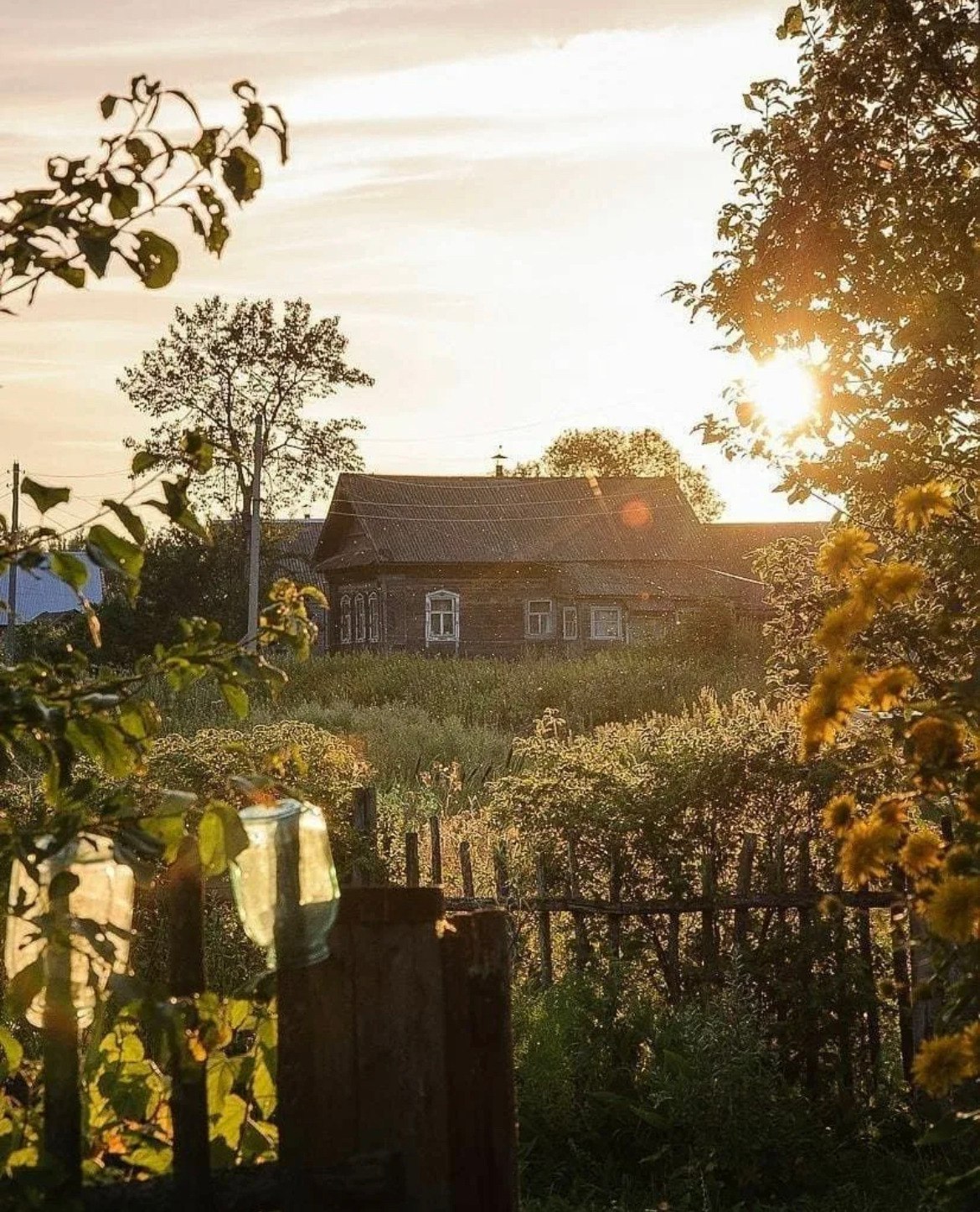 Деревне со. Эстетика деревни. Лето в деревне. Домик в деревне Эстетика. Лето в деревне Эстетика.