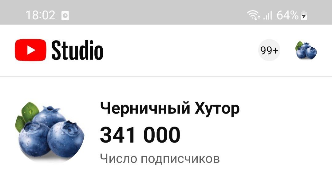 Черничный хутор. Черничный хутор беларусь. Черничный хутор март 2025 год. Черничный хутор март 2025 год. Черничный хутор дзен канал.