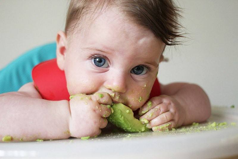 Фрукты в 7 месяцев. Еда для детей. Авокадо прикорм. Авокадо для грудничка прикорм. Ребенок ест авокадо.
