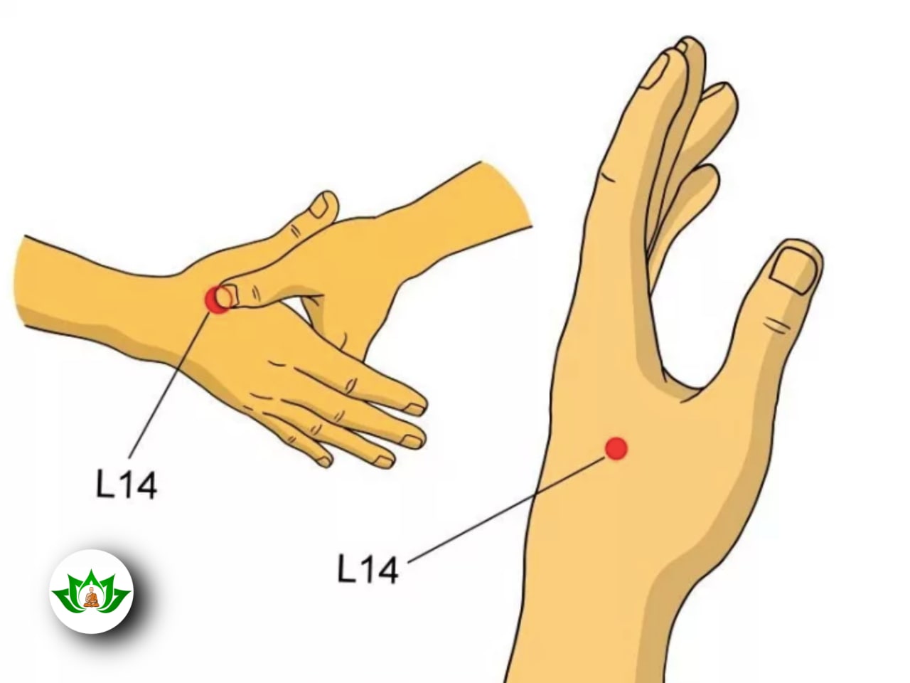 Точки на руках для массажа. Точка li4 акупунктурная. Точка gi-4 Хэ-ГУ. Болевые точки на руке. Между большим и указательным пальцем.