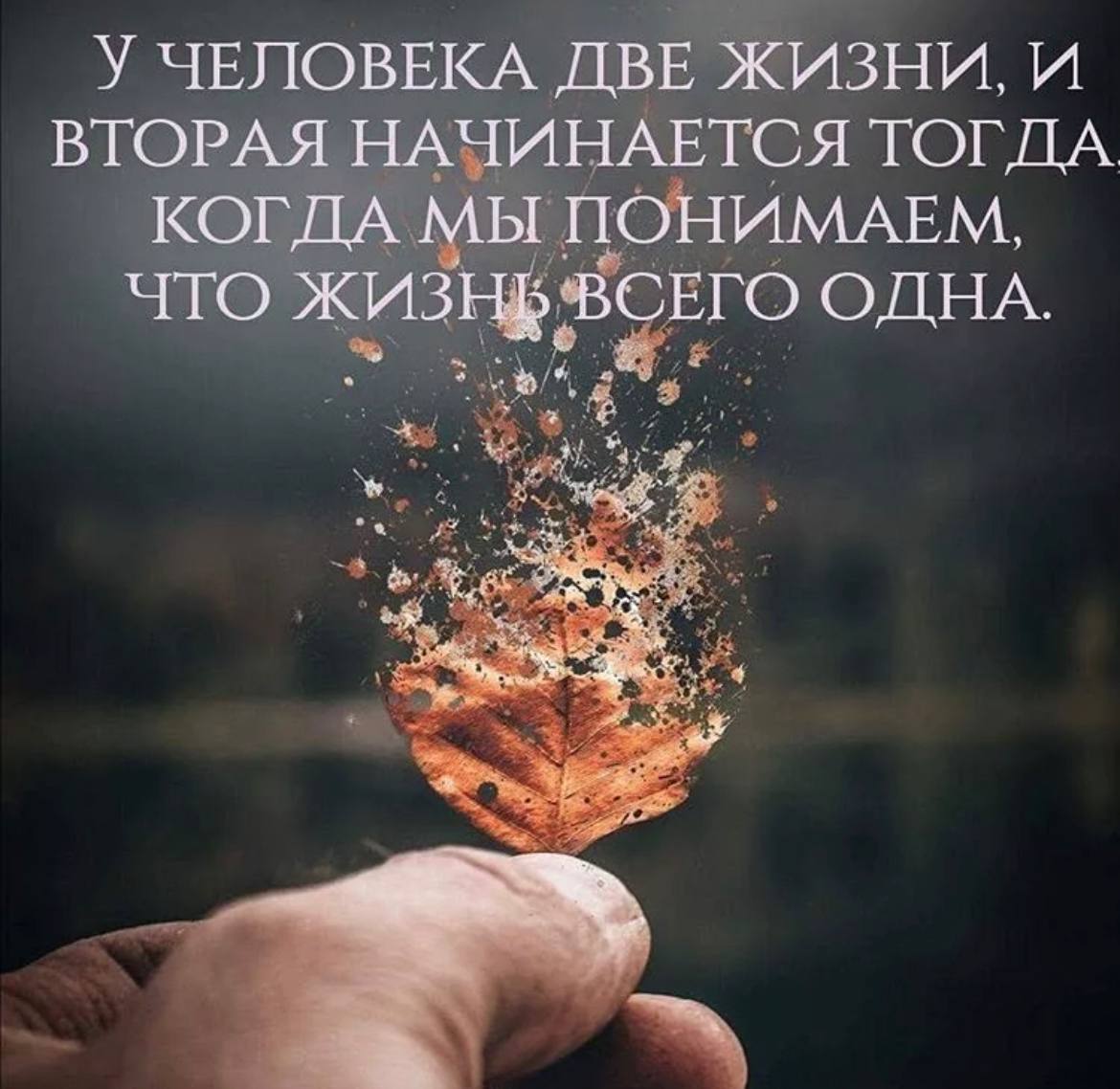 Истина в мелочах