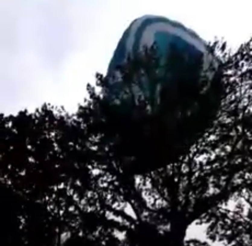 Застряли на высоте на воздушном шаре. Воздушный шар застрял на дереве. Застряли на воздушном шаре. Шары зацепились за дерево. Воздушный шар зацепился.