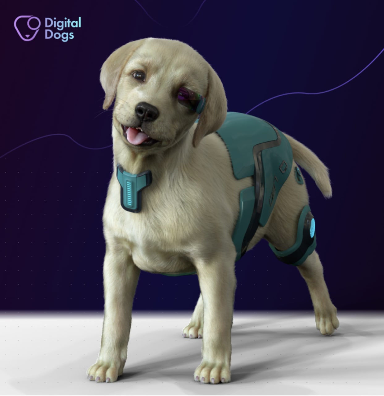 Портреты собак цифровой. Digital dog. Фотопортрет животных. Digital dog. Портрет собаки.