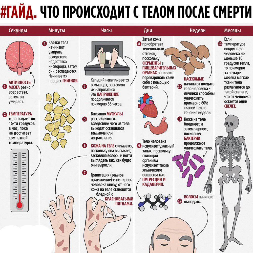 Фото Тела Через Год После Смерти