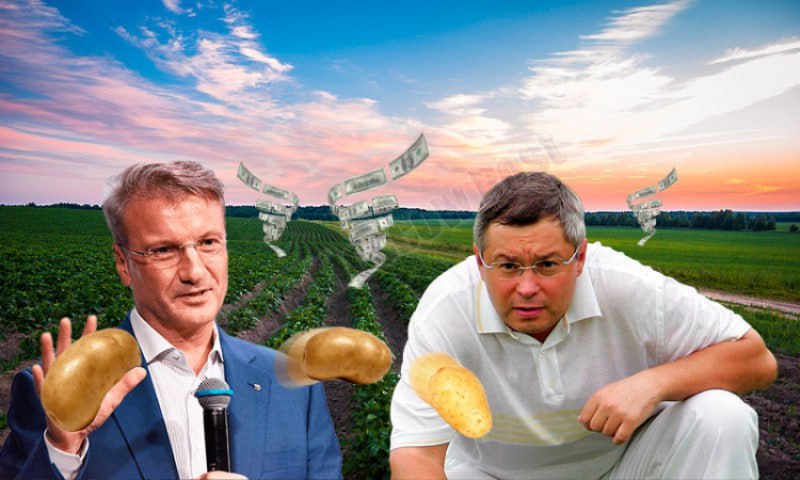​Пашни Глеба Фетисова, с приветом Фридману  Экс-сенатор Глеб Фетисов на деньги, украденные в &laquo;Моём банке&raquo; и взятые у кредиторов, собирается отжать семейный бизнес, чтобы сделать его частью своей импер