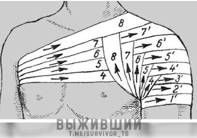 Сделай пов