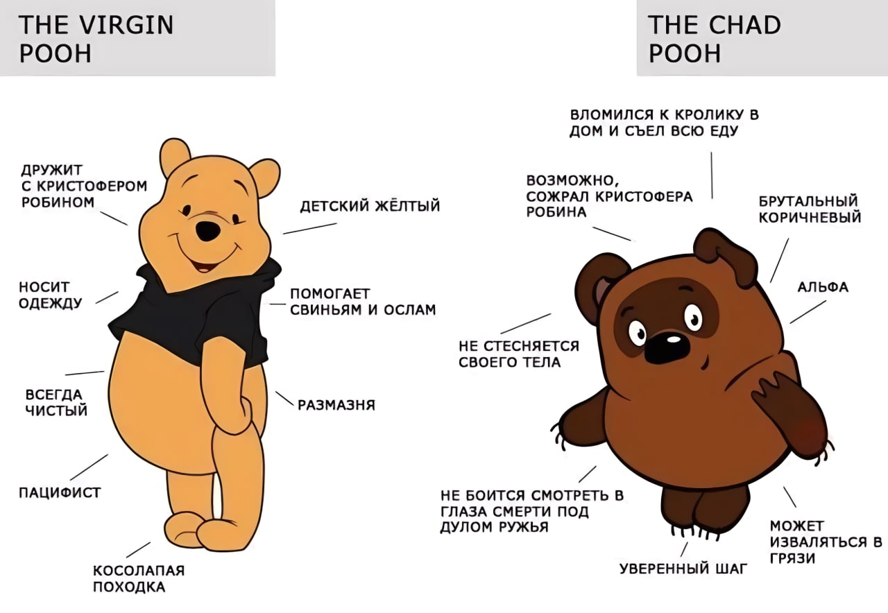 Как похудел винипух в домашних условиях Как похудел винипух в домашних условиях