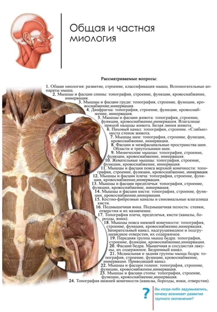 Миология в схемах и таблицах дьяченко