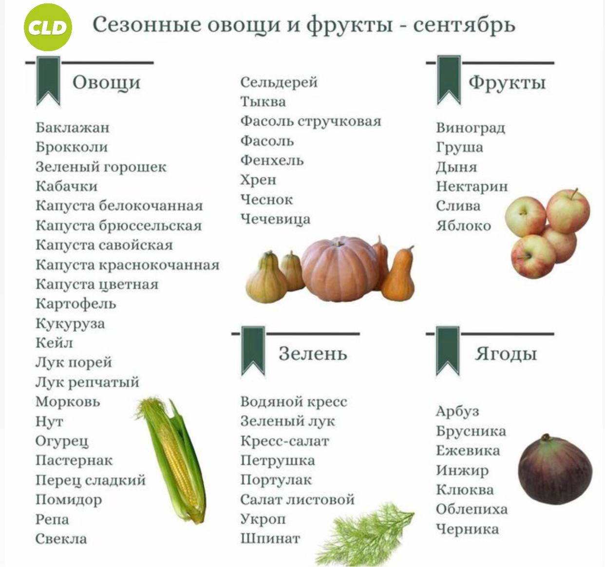 Какие фрукты есть в марте. Сезонные фрукты и овощи по месяцам в России таблица. Сезонные продукты в России по месяцам таблица. Сезонные фрукты. Сезонные овощи и фрукты сентябрь.