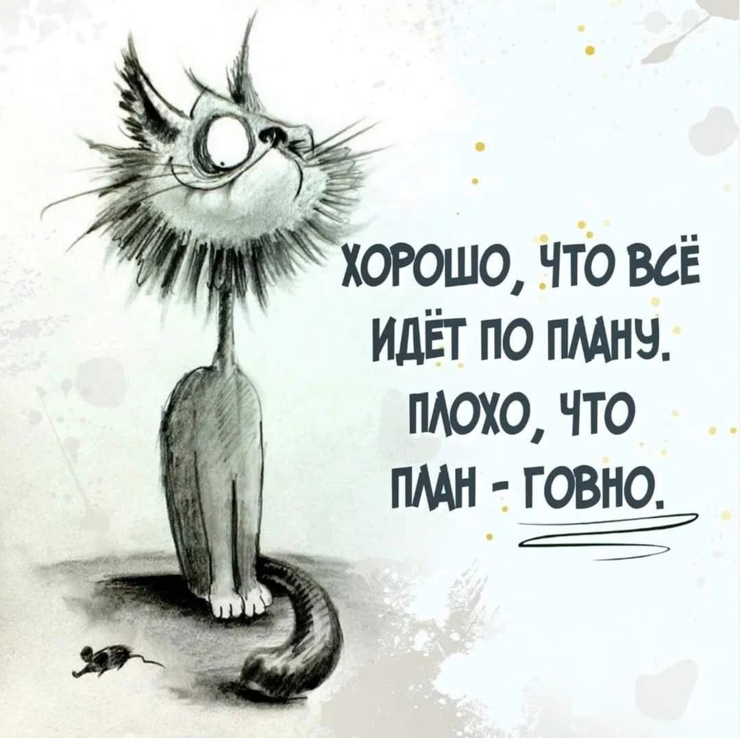 В любой непонятной ситуации говори все идет по плану мало ли какой