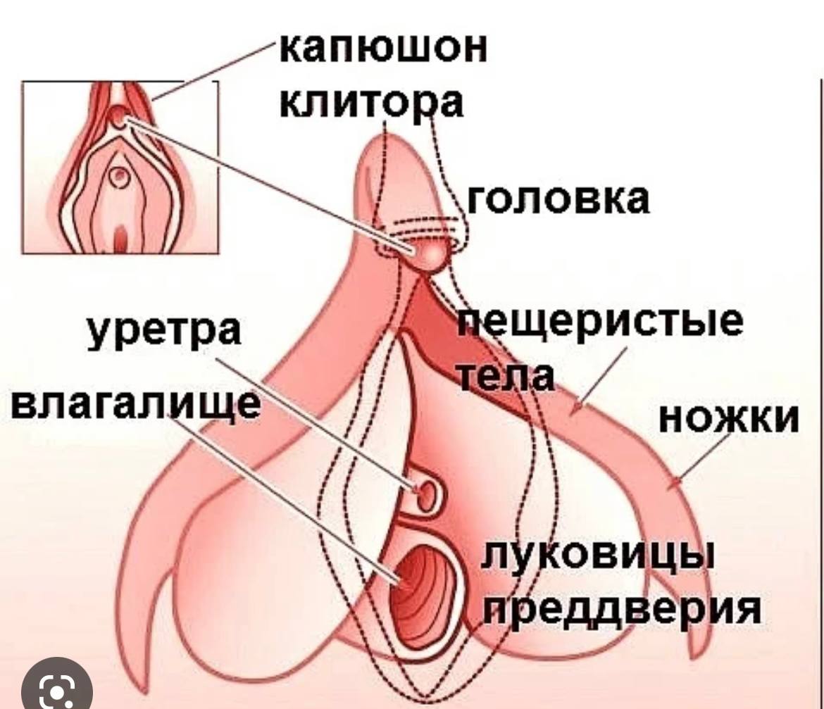 Пластика клитора в Москве, цена на интимную клиторопластику