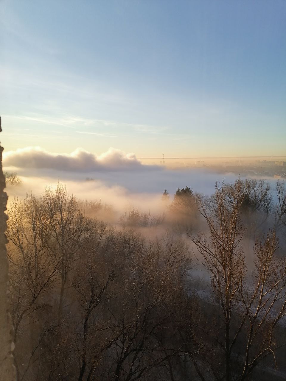 Утро 25 августа. Утро в Саратове. Доброе утро Саратов. Доброе утро 25 января. Добро5 утро туман январь.
