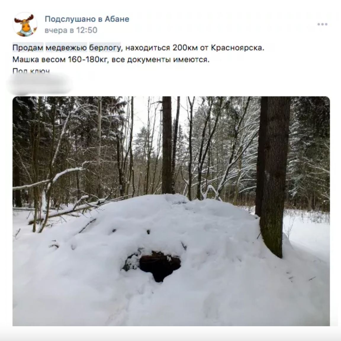 Картинка для детей берлога медведя