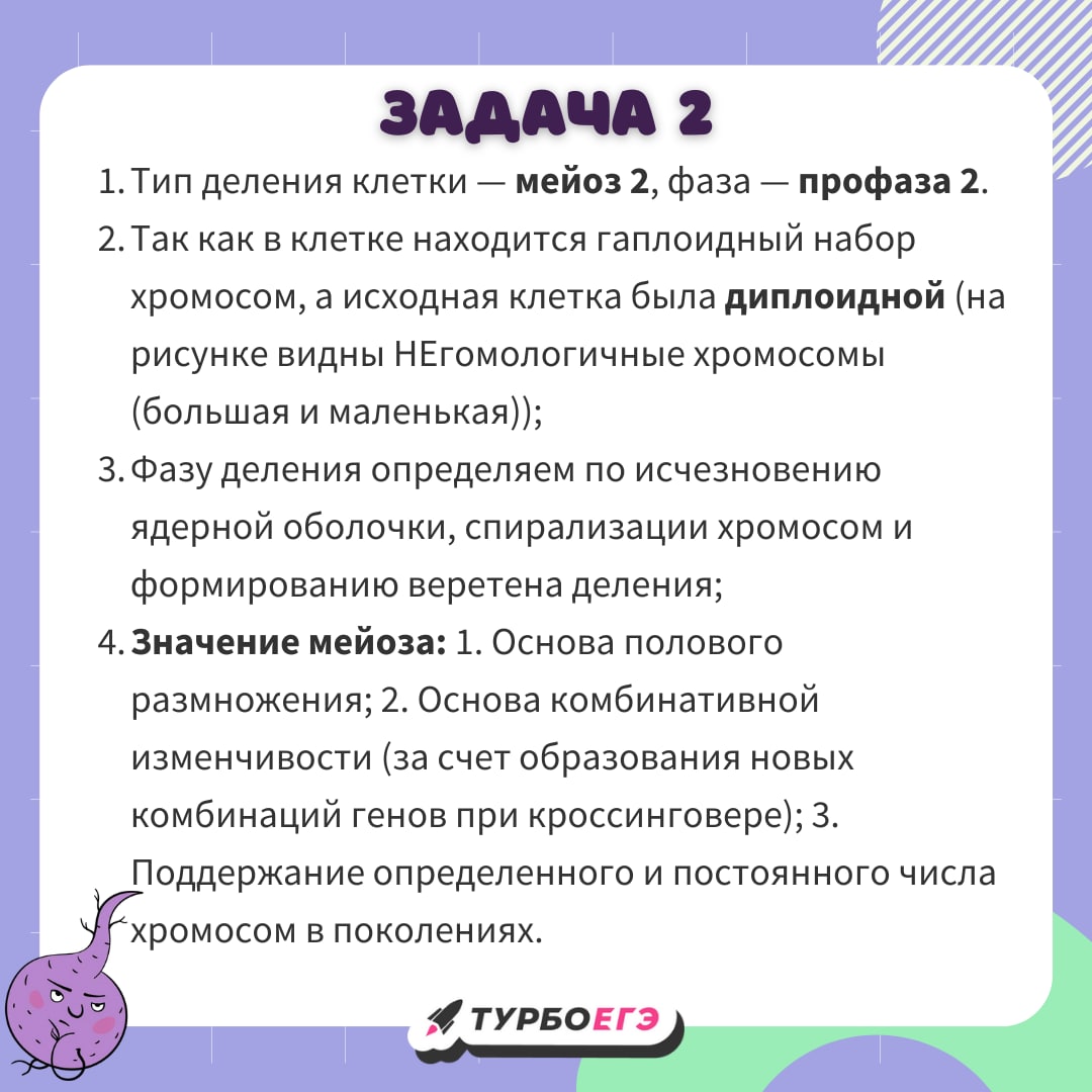 Подготовка к егэ по русскому телеграмм фото 20