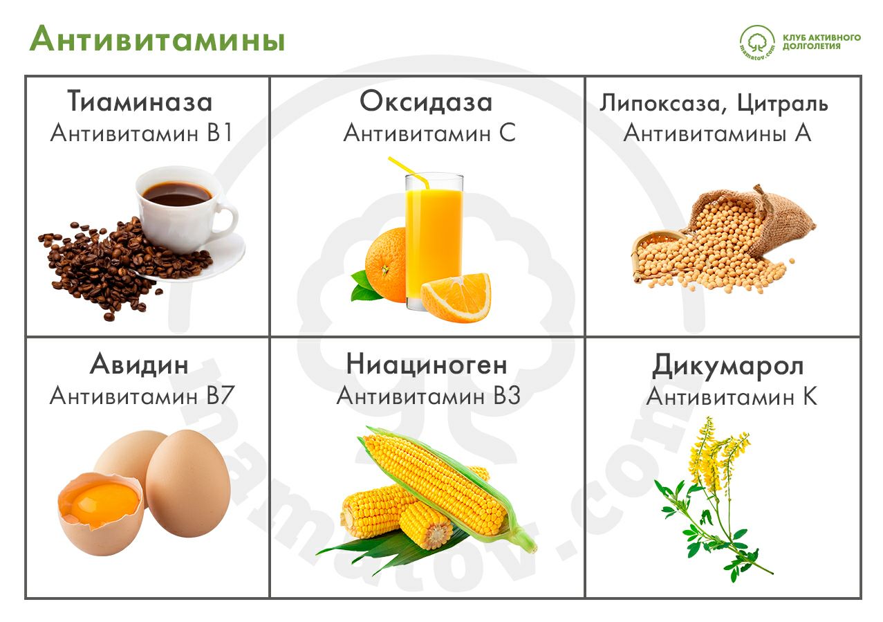 какие продукты нужно есть чтобы грудь стала больше фото 26