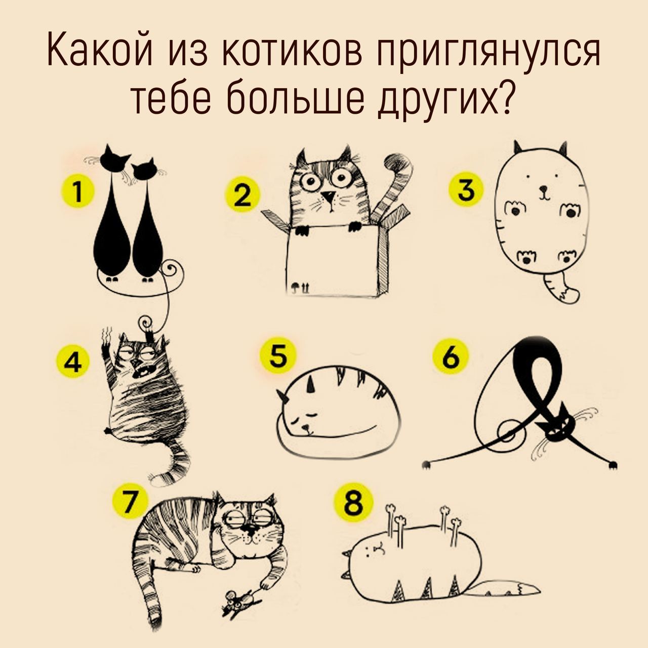 Тест какой ты котик