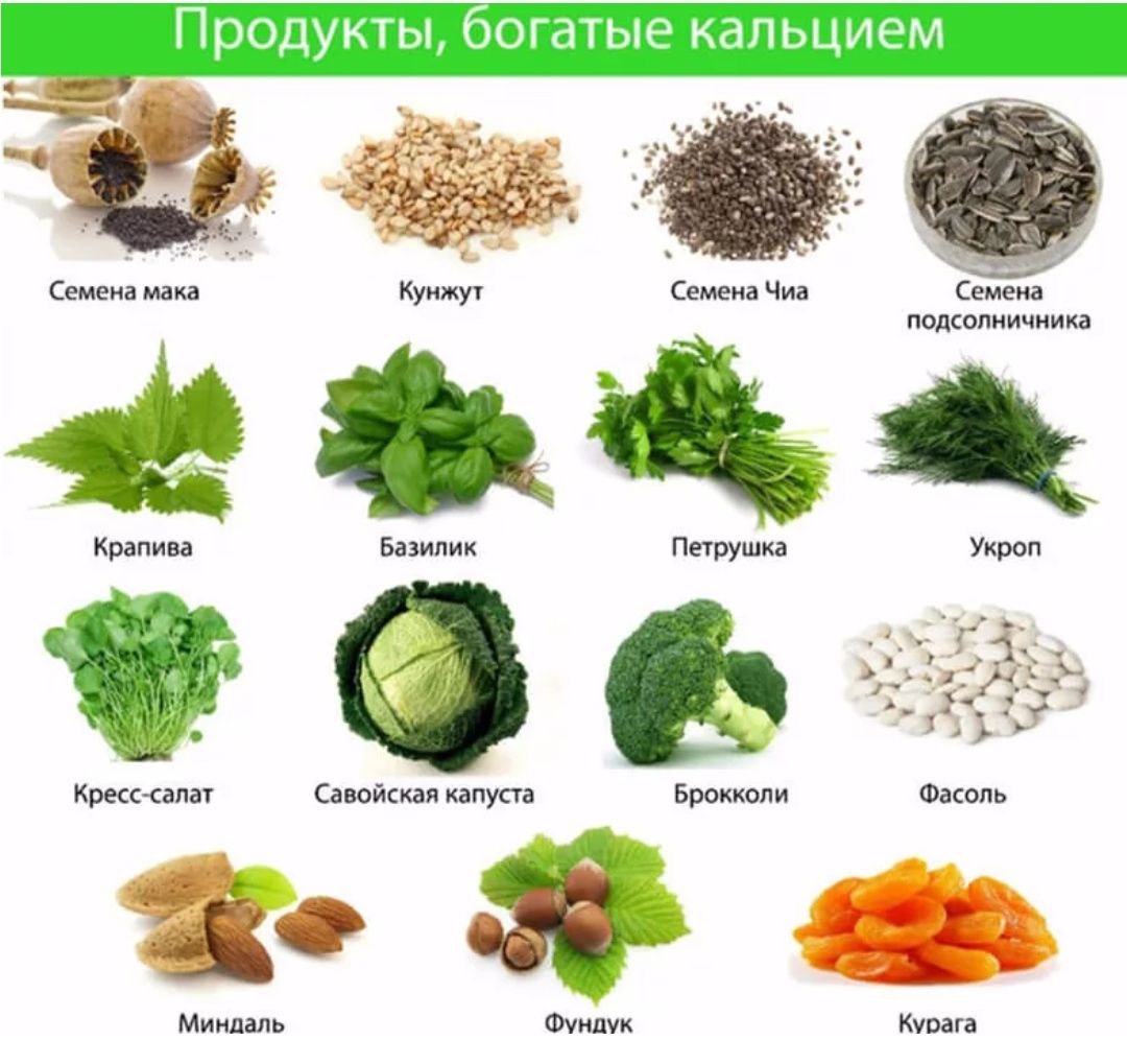 Высокое содержание. Какие продукты обогащенные кальцием. Растительные продукты содержащие кальций. Продукты кальций содержащие для костей. В каких продуктах много кальция.