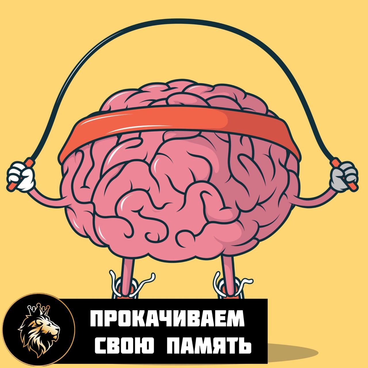 Мозгу хорошо. Мозгу хорошо