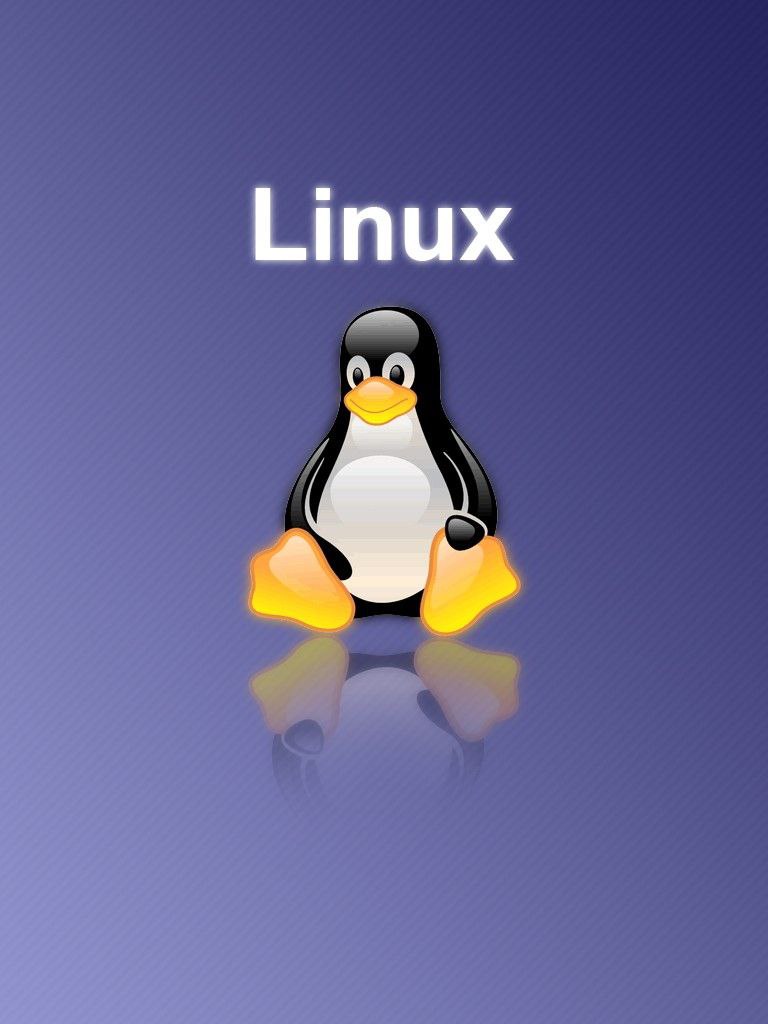 Что такое linux. Операционная система линеес. Операционная система линекс. Операционные системы линукс. Операционка линукс.