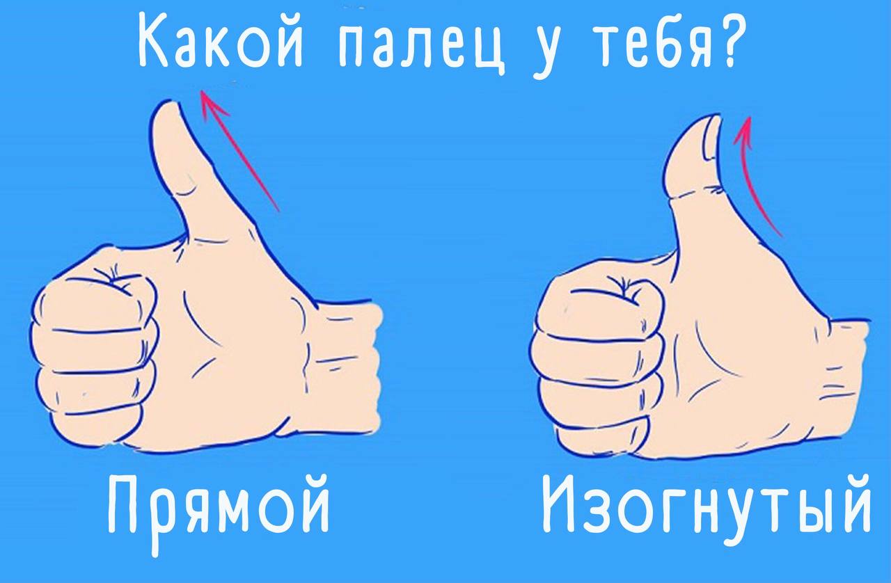 Где твои пальцы. Твои пальцы. Ты палец.