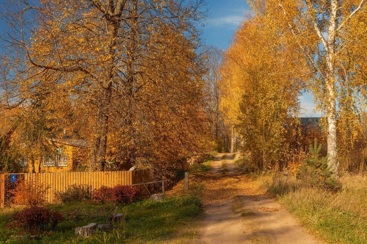 Русский октябрь. Поселок Каменецкий Золотая осень. Тверская деревня осень. Деревня осенью. Осень в поселке.