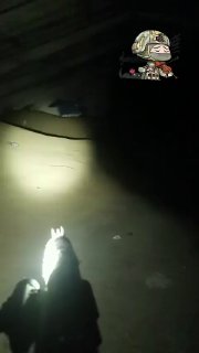 Велес тихонько пишет