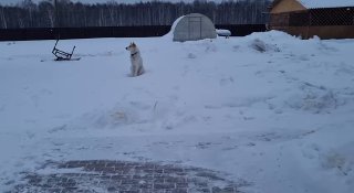 Охотхозяйство чугунаевское